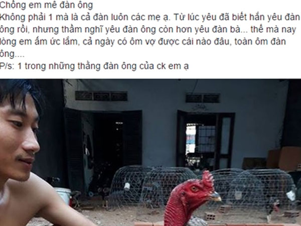 Tâm sự cười chảy nước mắt của cô vợ đòi ly dị vì chồng mê gà chọi: Đang ân ái nhảy bổ xuống kiểm tra chuồng, đem cả gà đi hát karaoke