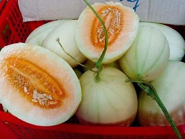 7.200 tấn dưa Trung Quốc tràn chợ: Coi chừng 3 loại dưa Tàu đội lốt hàng Việt