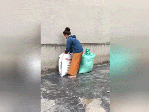 Chân trần bê bao thóc mấy chục cân đi phăm phăm trong ngày mùa, cô gái trẻ khiến cộng đồng mạng thi nhau xin info