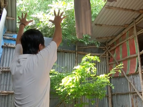 Phập phồng bên vách núi lở ở Kiên Giang