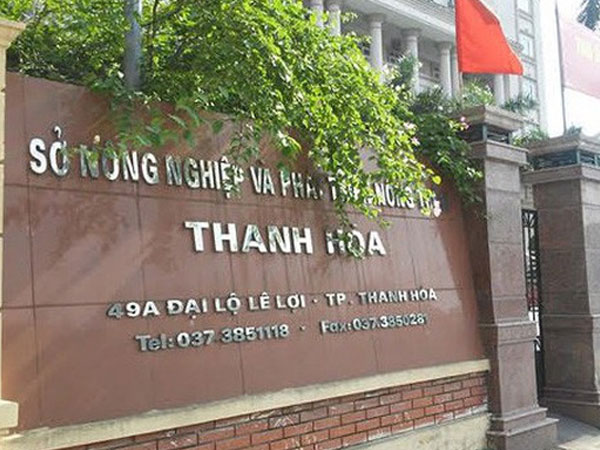'Chân dài' được bổ nhiệm thần tốc, Chủ tịch Thanh Hóa: Sẽ yêu cầu xử lý theo quy định