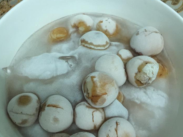 Chồng dặn vợ ở nhà bóc vải để tủ lạnh ăn cho mát, đi làm về thấy cảnh không biết khóc hay cười