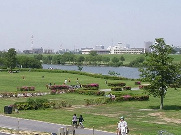 Nhật Bản: 'Người chết' trở về gõ cửa nhà sau một năm an táng