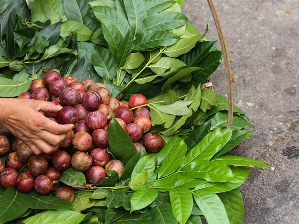 Rượu nếp đắt hàng, mận tăng giá sáng sớm Tết Đoan Ngọ