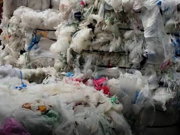 Video: 8.000 container phế liệu tồn đọng ở cảng Cát Lái
