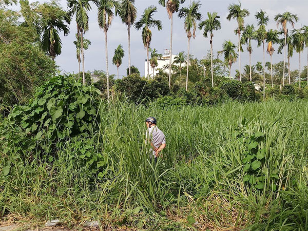 Phát hiện thi thể người đàn ông đang phân hủy trong bãi cỏ ở Sài Gòn