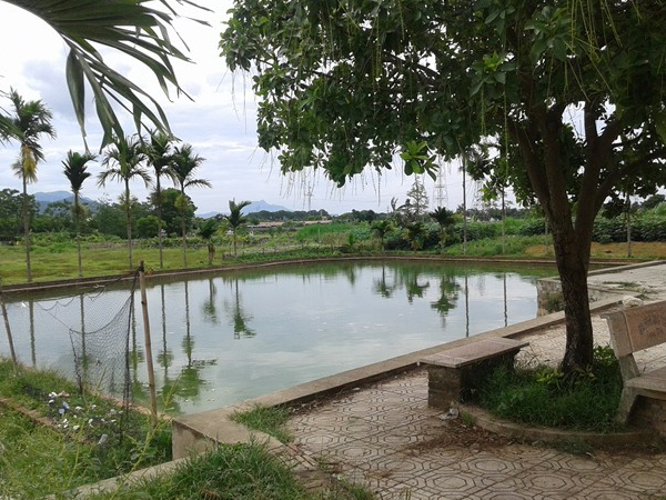 Vụ hai chị em đuối nước ở ao đình: Rất đông người trên bờ nhưng không phát hiện ra