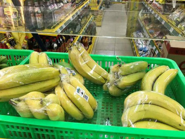 Hành trình trồng chuối của Bầu Đức