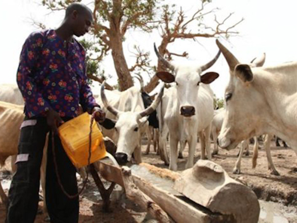 Thảm sát vì tranh chấp đất đai ở Nigeria, 86 người chết