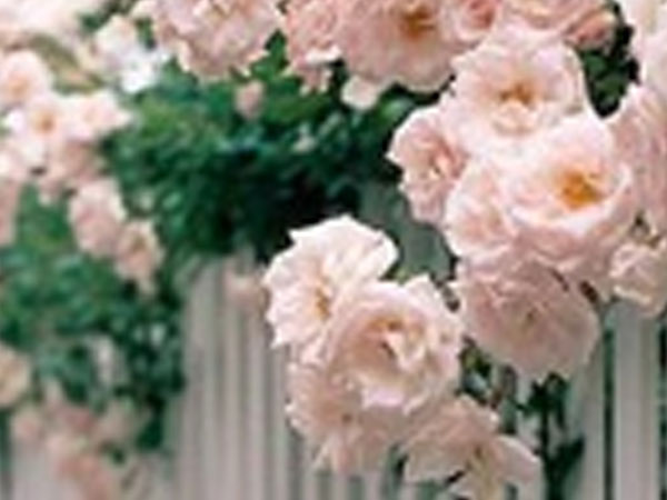 Thứ Ba của bạn (26/6): Song Tử hãy trân trọng thực tại