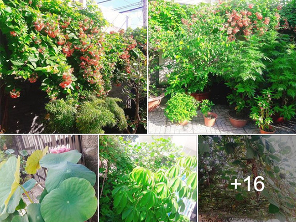 Ảnh bìa bài viết 549347
