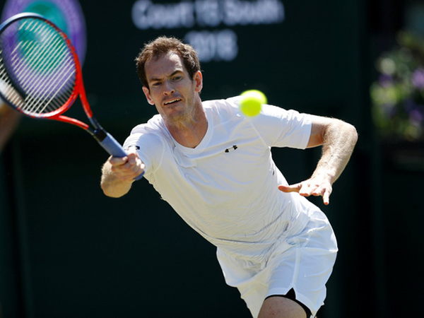 Andy Murray không tham dự Wimbledon 2018