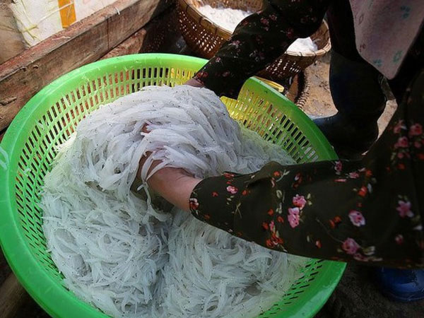 Cá ngần sông Đà giá 300.000 đồng/kg gây 'sốt' thị trường