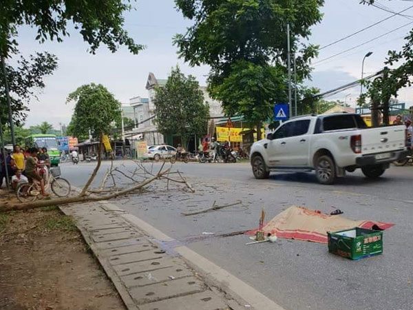 Bị cành cây rơi vào người khi đang đi đường, đôi vợ chồng sắp cưới thương vong