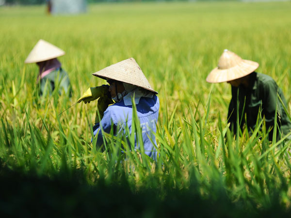 Bao giờ đợt nắng nóng dữ dội ở miền Bắc mới chấm dứt?