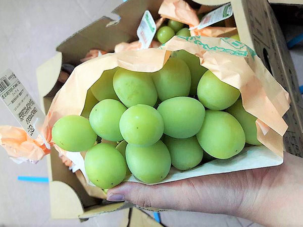 Bạo tay chi tiền triệu mua chùm nho mẫu đơn mệnh danh ngon nhất thế giới thưởng thức