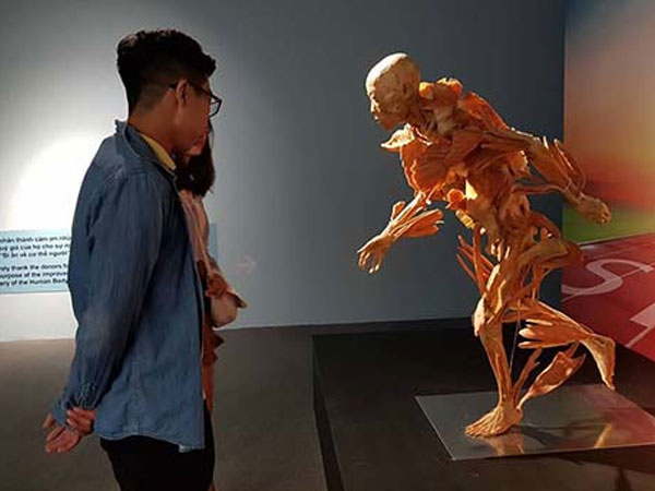 Bộ Văn hóa yêu cầu báo cáo về triển lãm cơ thể người