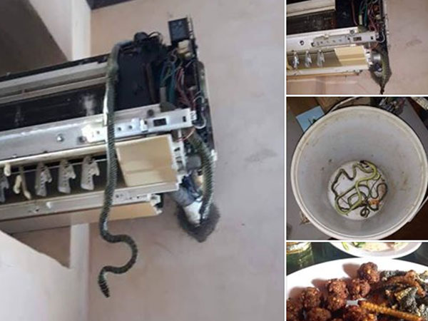 Bật điều hòa không mát, cô gái té xỉu khi trông thấy 'thủ phạm' bên trong và cái kết bất ngờ hút ngàn like