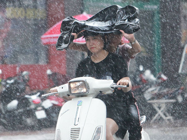 Người Hà Nội sung sướng đi dưới 'mưa vàng' sau những ngày nắng cháy da
