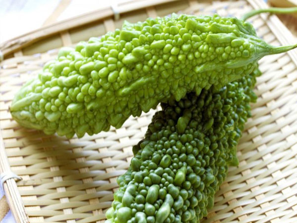 Mướp đắng - Biện pháp kiểm soát lượng đường huyết trong máu hiệu quả