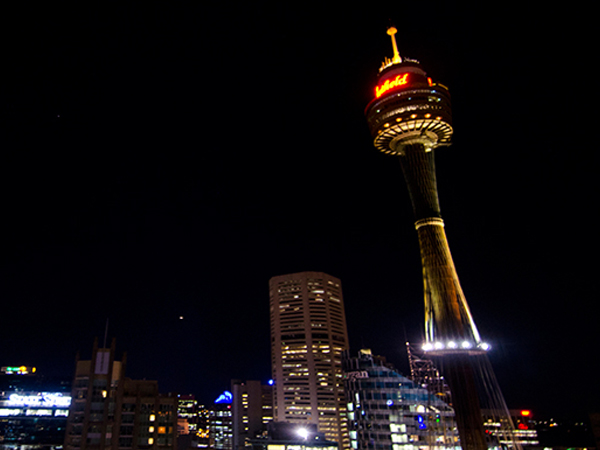Một người đàn ông chết do rơi bị rơi từ Tháp Sydney