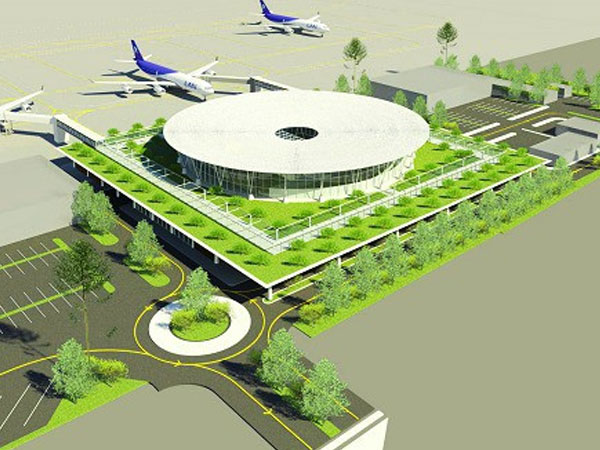 Chính phủ phê duyệt chủ trương đầu tư Hàng không Tre Việt - VietBamboo Airlines