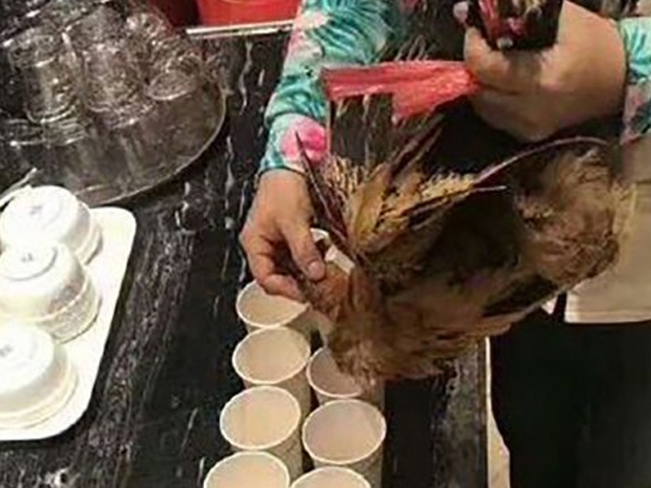 Công ty Trung Quốc bị tố bắt nhân viên uống máu gà để mừng công