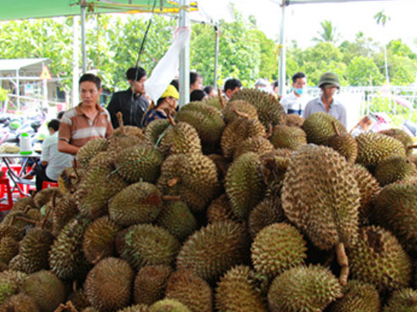 Tư thương Trung Quốc mua gom tới tấp hạt sầu riêng để làm gì?