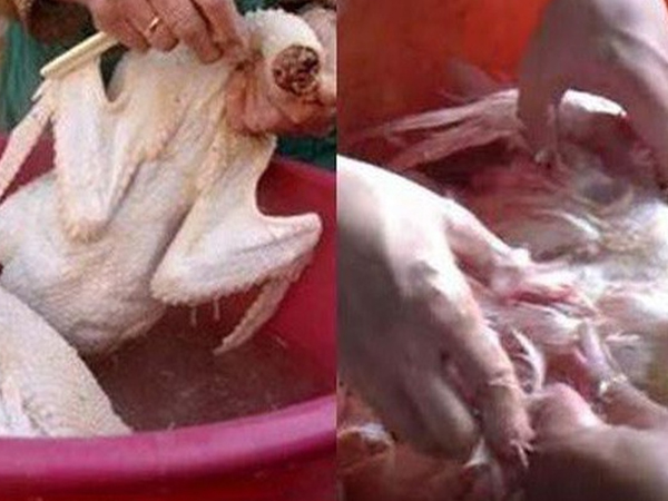 Chứng kiến con gái trổ tài mổ ngan, mẹ vẫn thắc mắc: 'Không hiểu tại sao chồng mày nó lại dám lấy mày'