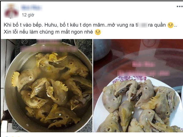 Ảnh bìa bài viết 555842