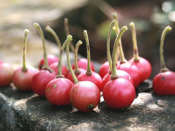 Những 'cực phẩm quà vặt' 100% thiên nhiên mà thế hệ 8, 9x không bao giờ quên