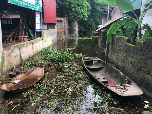 Sạt đê bối, người Hà Nam chèo thuyền chẳng khác gì Chương Mỹ