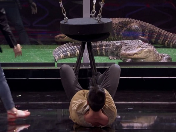 America's Got Talent 2018: Thí sinh khiến Simon Cowell suýt phải chịu trách nhiệm vì 'chơi' với cá sấu