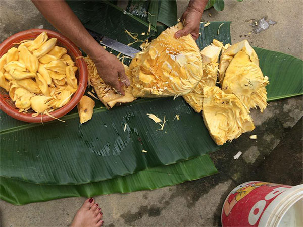 Nàng dâu hậm hực mẹ chồng vì quả mít, tố bà đem hết đồ ngon ở nhà ra chợ bán, hội chị em phán thế này