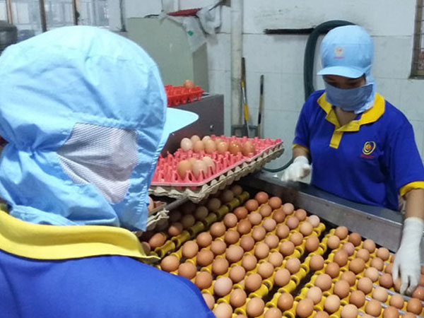 Ba Huân có bị VinaCapital lừa góp vốn?