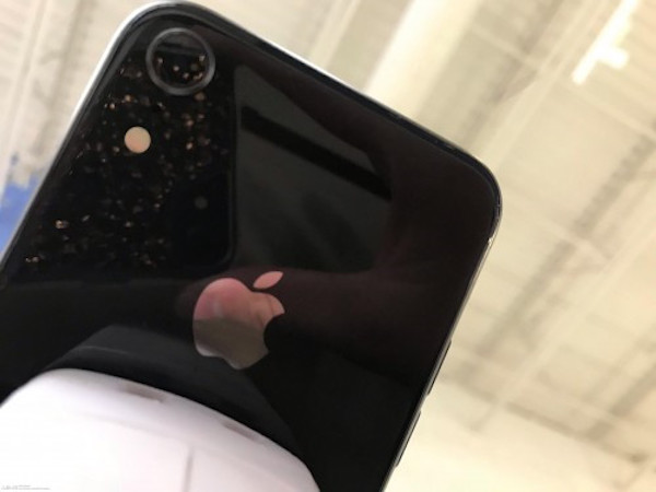 iPhone 6,1 inch tiếp tục lộ diện với camera lớn ở mặt lưng