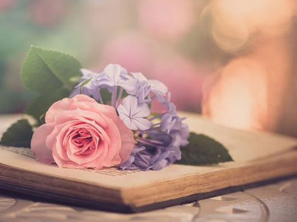 Thứ Ba của bạn (7/8): Bọ Cạp đừng quá chần chừ