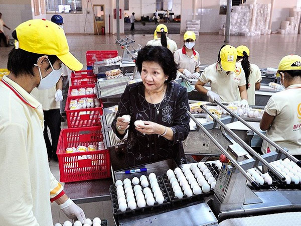 Thấy gì từ lá đơn 'cầu cứu' Thủ tướng của công ty Ba Huân?
