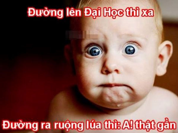Ảnh chế tân sinh viên vỡ mộng khi bước đến cánh cửa đại học
