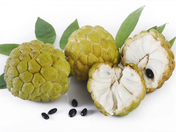 Bà bầu có nên ăn na không?