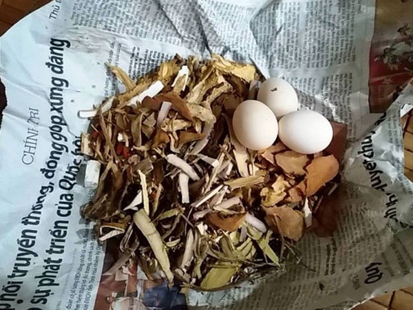 Tin đồn thất thiệt về 'ma' thuốc độc khiến nhiều người lao đao ở Quảng Bình