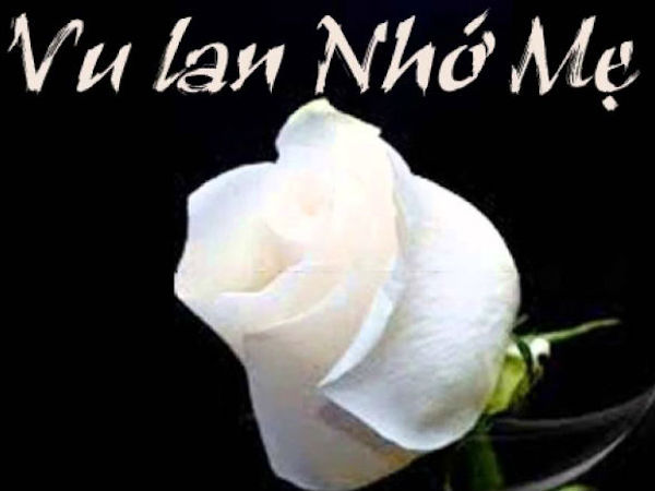 Vu Lan bật khóc nghe tâm sự về mẹ của người con cài bông hồng trắng trên ngực