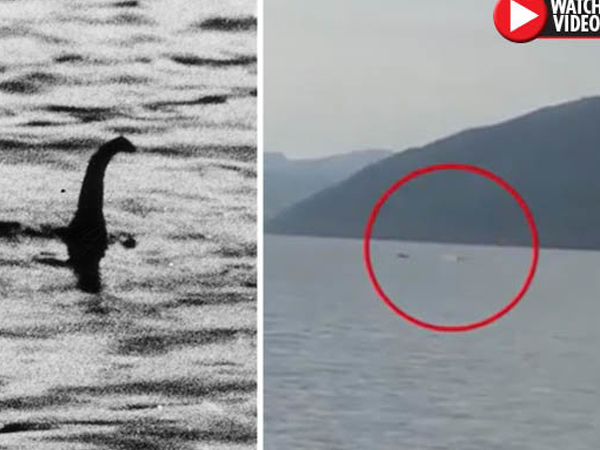 Video: Bằng chứng mới về quái vật hồ Loch Ness huyền thoại