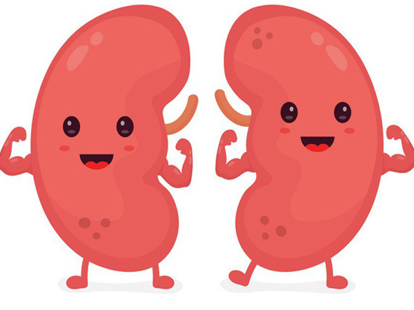 8 loại thực phẩm ngon, bổ, rẻ là 'bạn thân' của thận: Ăn càng nhiều, thận càng khỏe