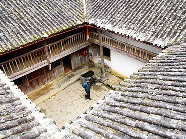 Cuộc đời oai hùng của 'Vua Mèo' qua lời kể của cháu nội