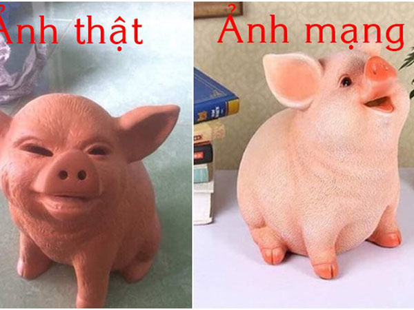Đặt mua lợn đất dễ thương qua mạng, chàng trai hoảng hồn khi nhận được chú lợn 'mình đen, mặt nham hiểm'
