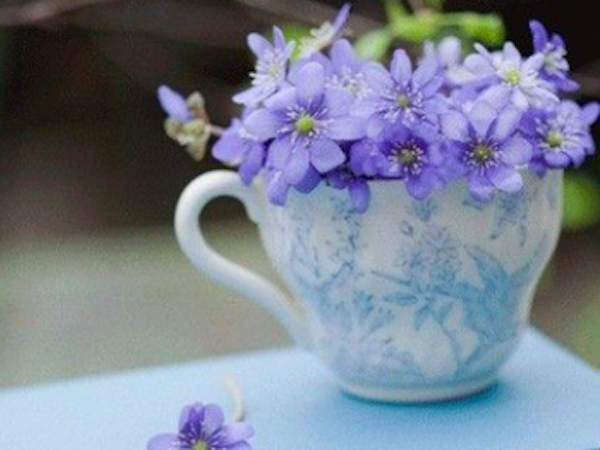 Thứ Năm của bạn (23/8): Cự Giải chẳng mấy dịu dàng