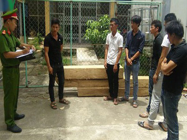 Bắt 6 đối tượng cướp gỗ ở Trạm bảo vệ rừng
