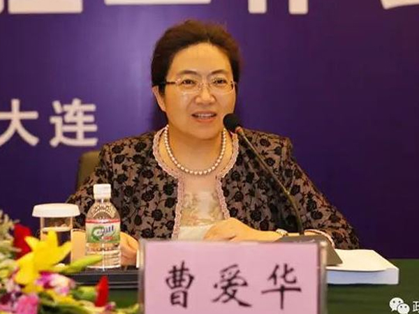 Người phụ nữ 'mê làm quan' nhận án tù