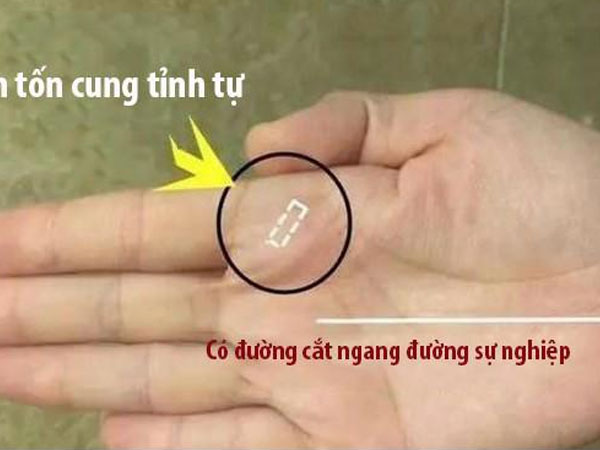 Phụ nữ có đặc điểm này ở bàn tay: Tiền đã vào thì không có đường ra, cả đời sang giàu